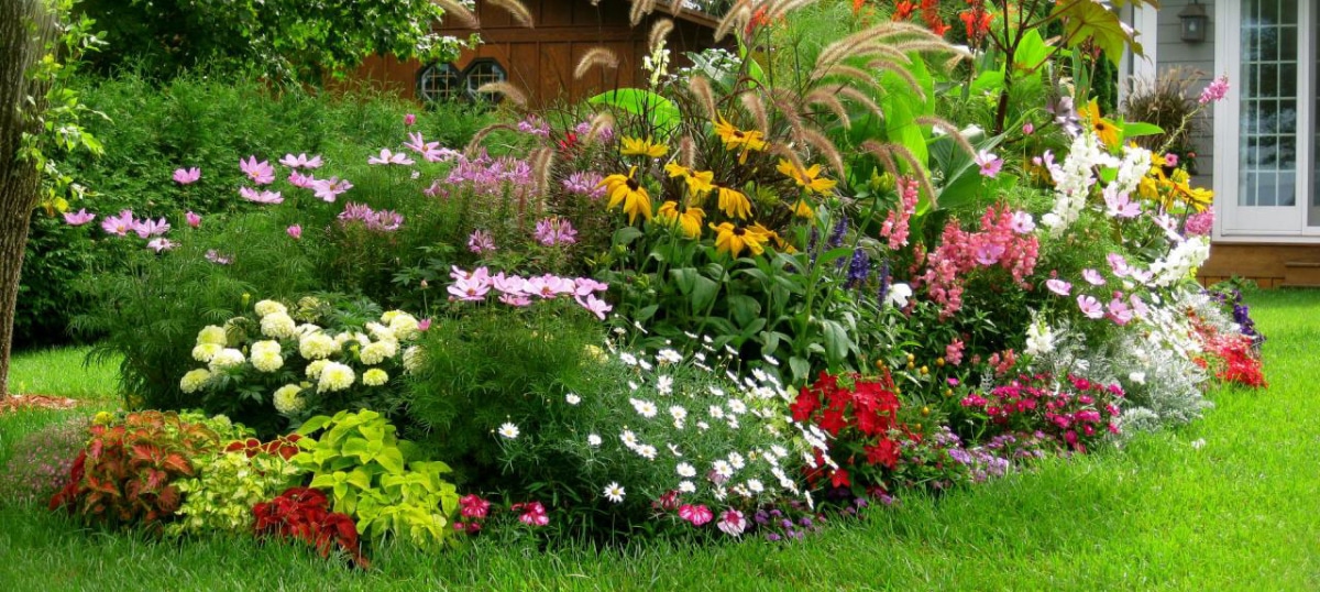 Plant Seasonal Flower Beds