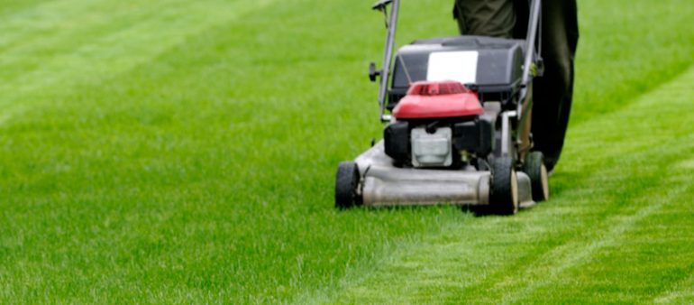 Lawn Mowing Sydney Lawn Mowing North Shore Lawn Mowing