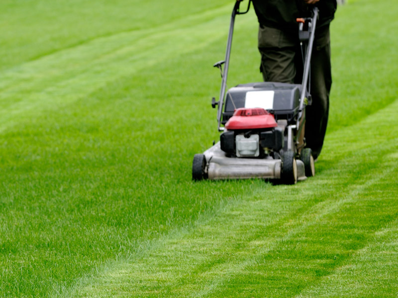 lawn mowing gold coast