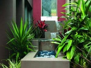 water feature indoor plants