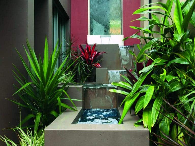 waterfeatureindoorplants Landscape Design, Landscape Design North
