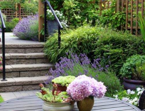 Pros and Cons of Landscape Construction: The Quick Guide