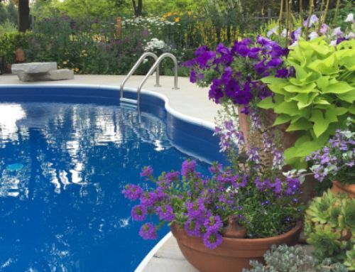 Pool Landscaping Plants: 20 Stunning Options For Your Pool Surrounds