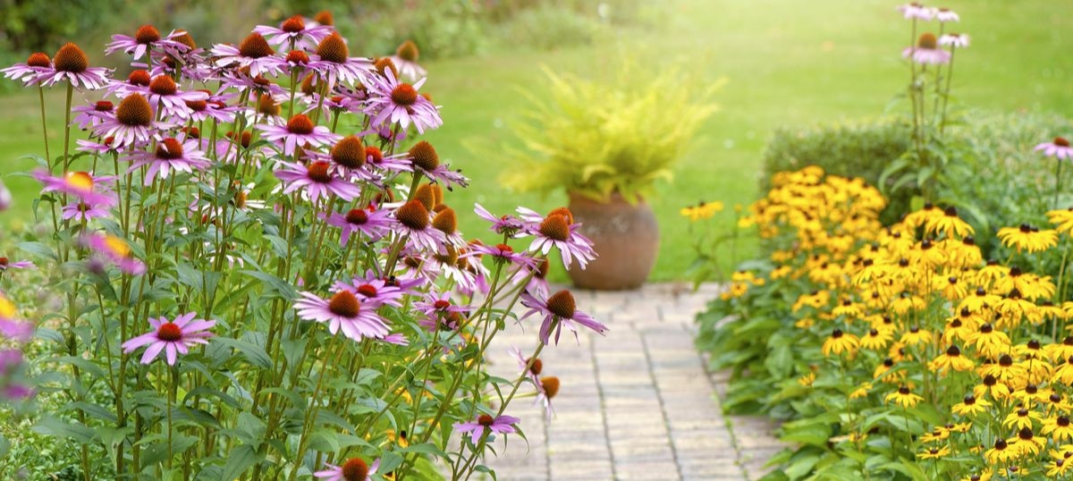 Plant Seasonal Flower Beds