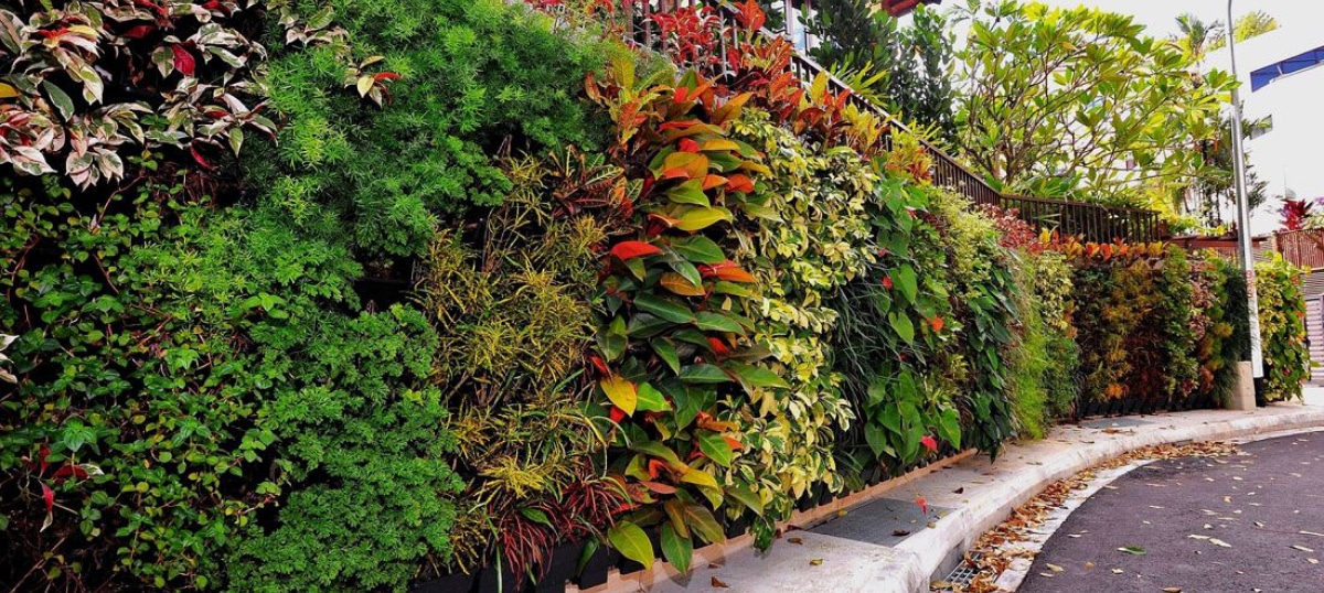 7. Save Space with Vertical Gardens 1