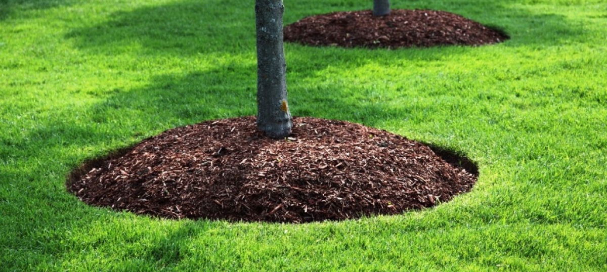 Wood Chip Mulching 02