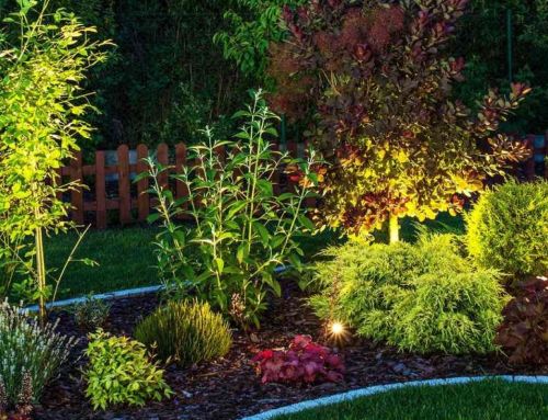 10 Best Small Backyard Landscaping Ideas: Put Your Space to Work