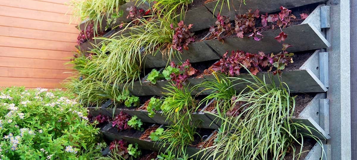 Vertical Gardening